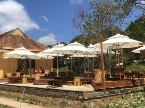 Quán Cafe Sân Vườn Đà Lạt Nên Chọn Dù Che Nắng Loại Nào?